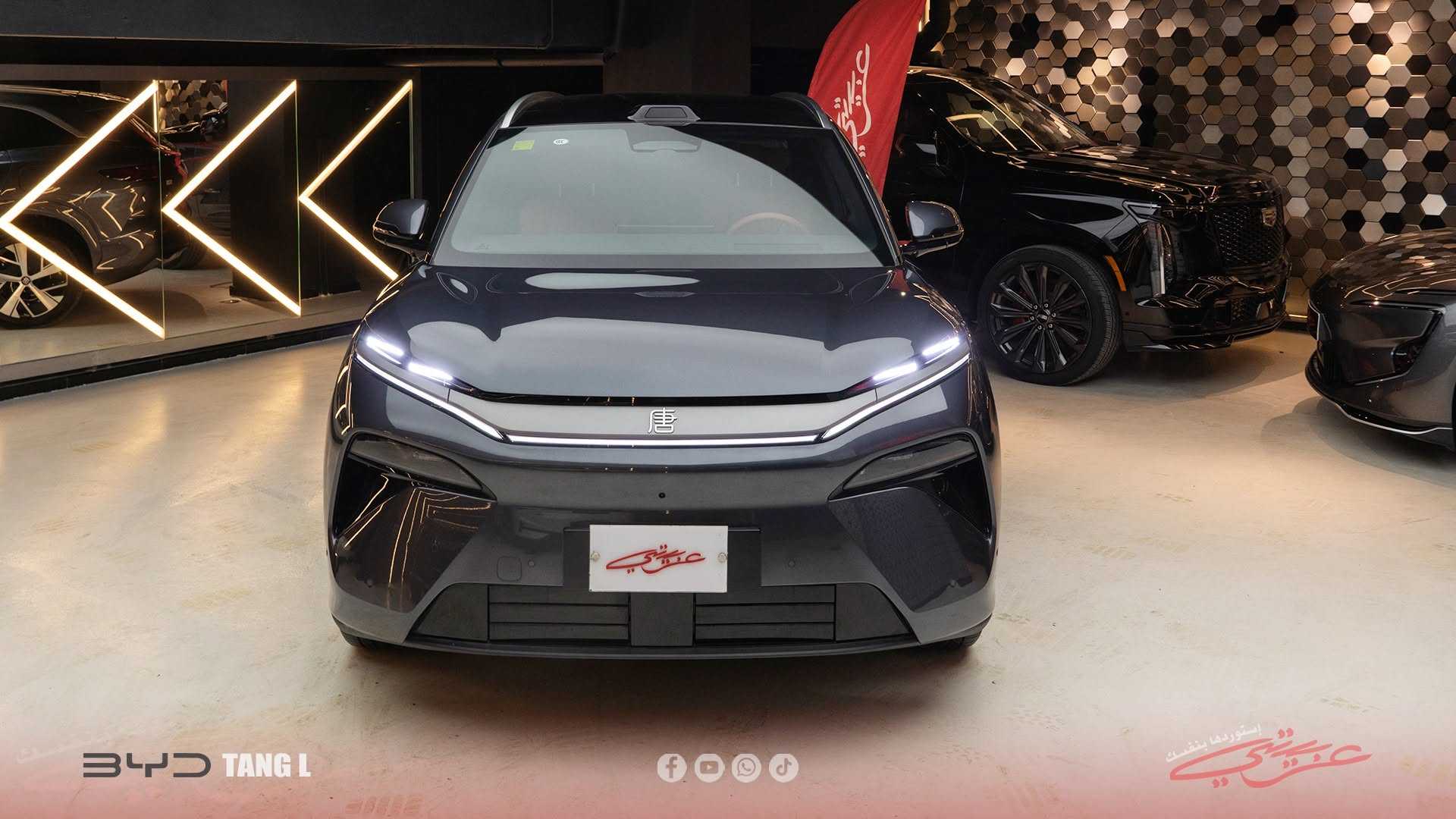 بي واي دي تانج 2025