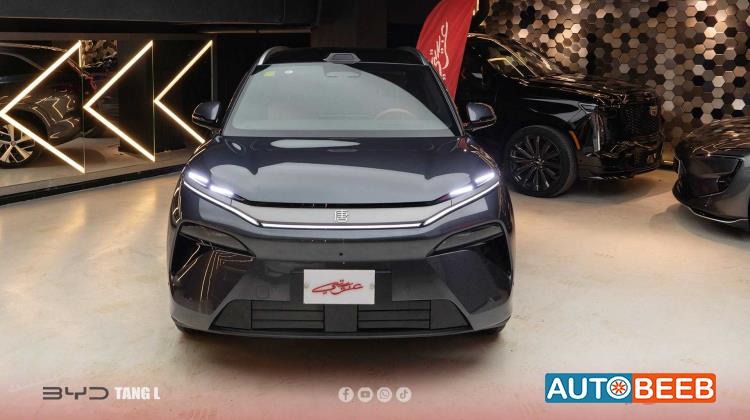 بي واي دي تانج 2025