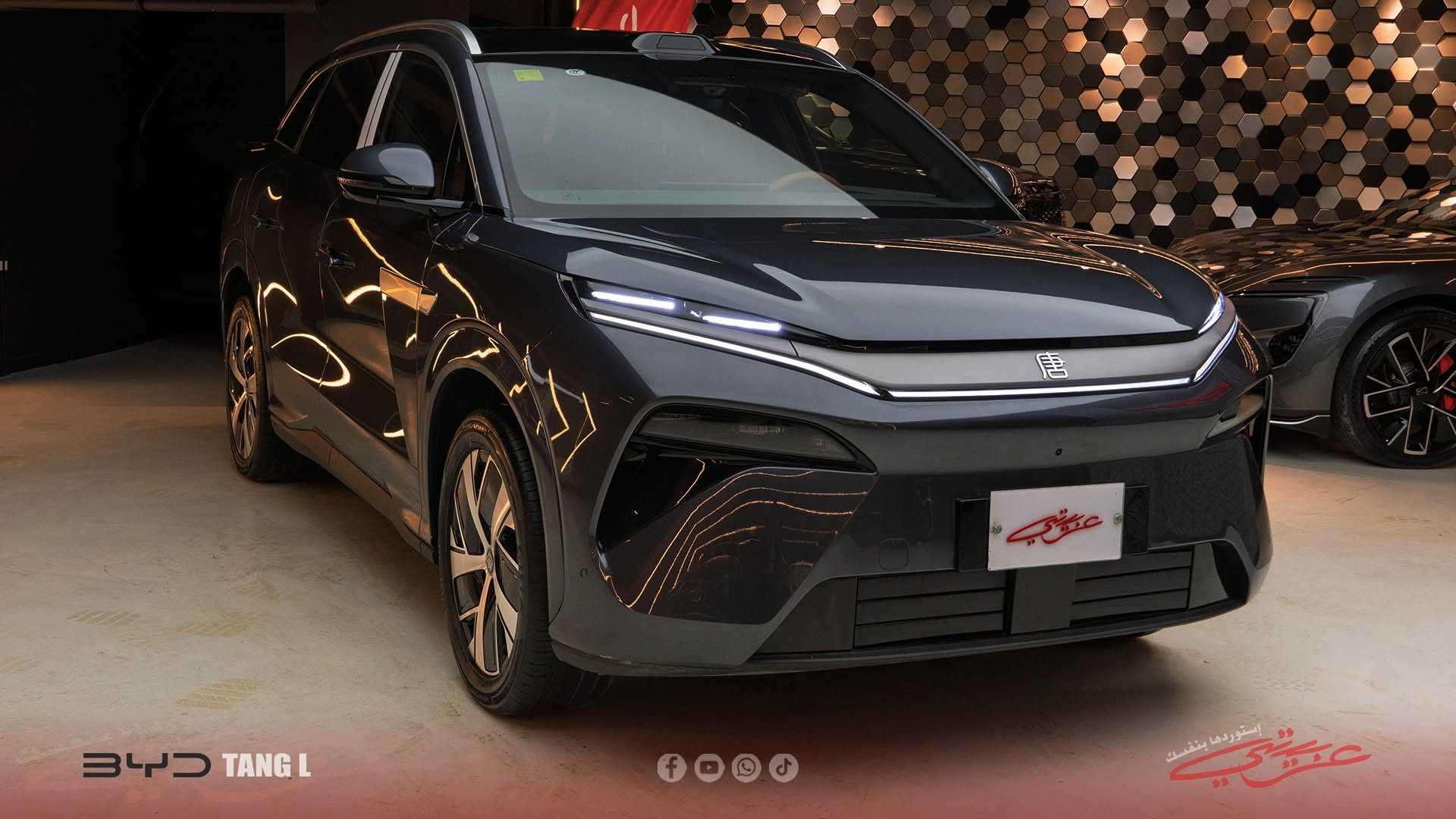 بي واي دي تانج 2025