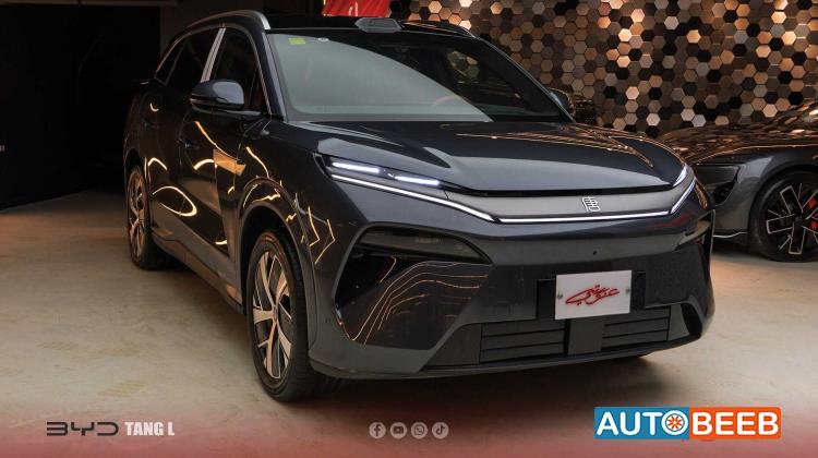 بي واي دي تانج 2025