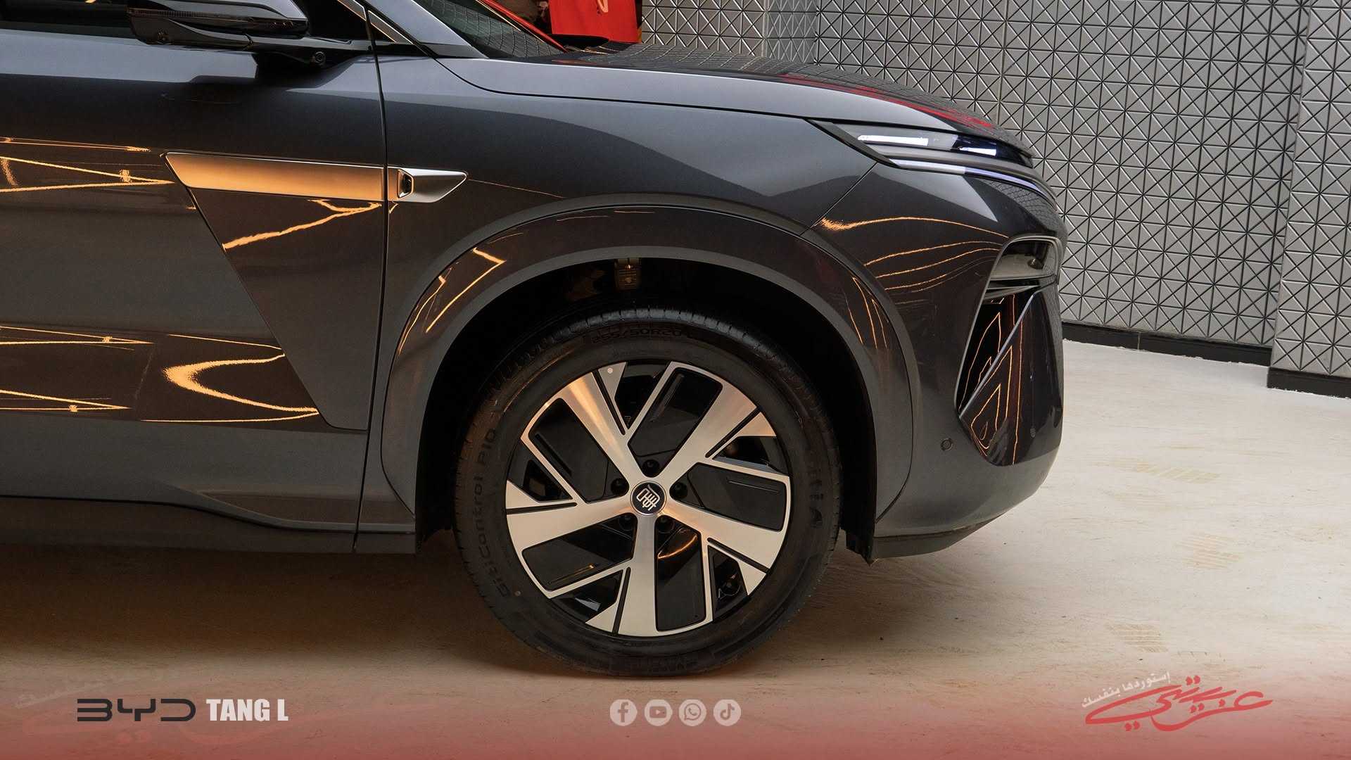 بي واي دي تانج 2025