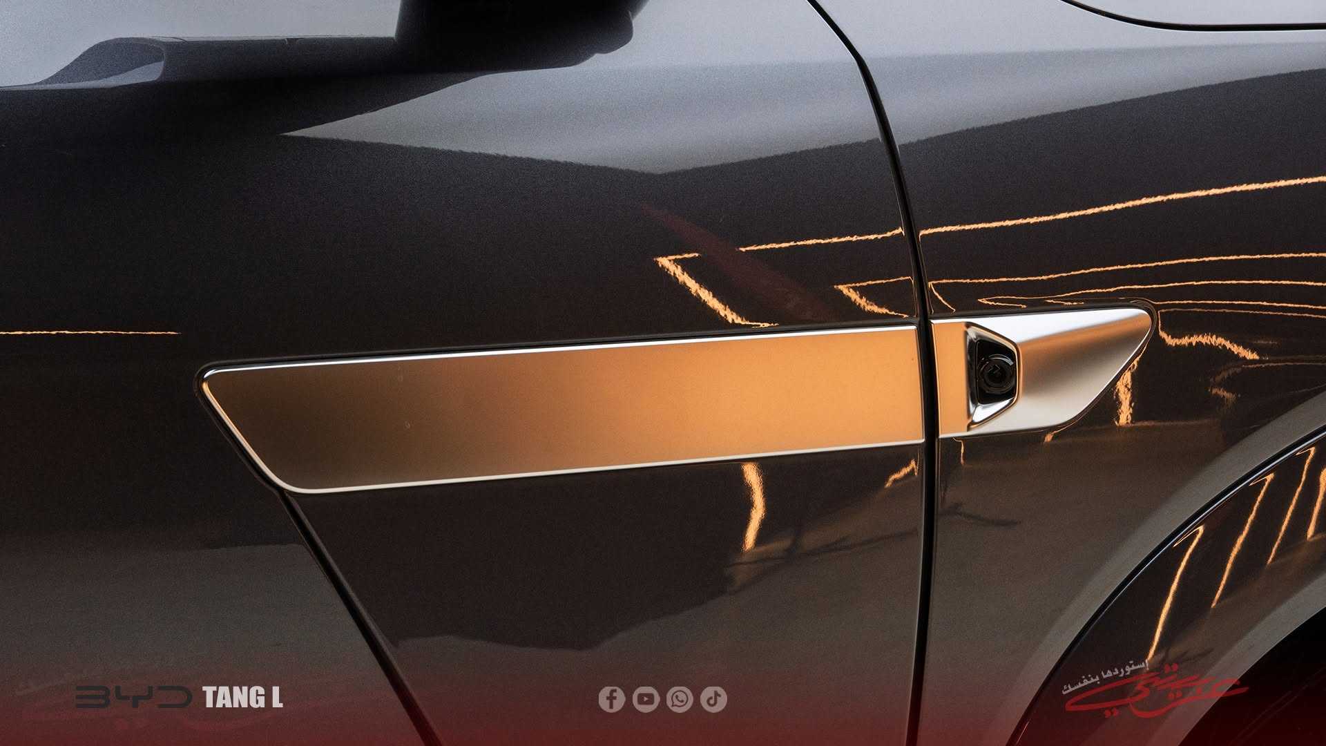 بي واي دي تانج 2025