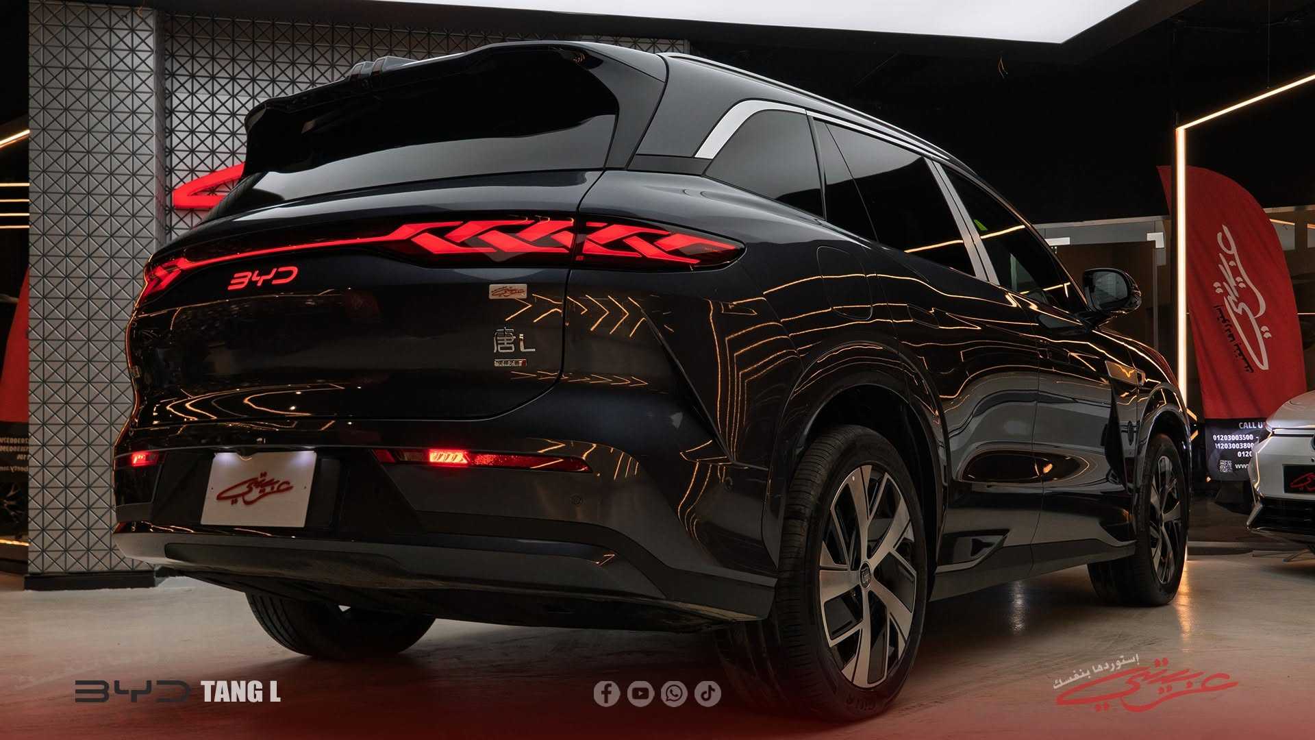 بي واي دي تانج 2025