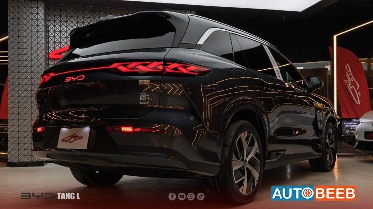 بي واي دي تانج 2025
