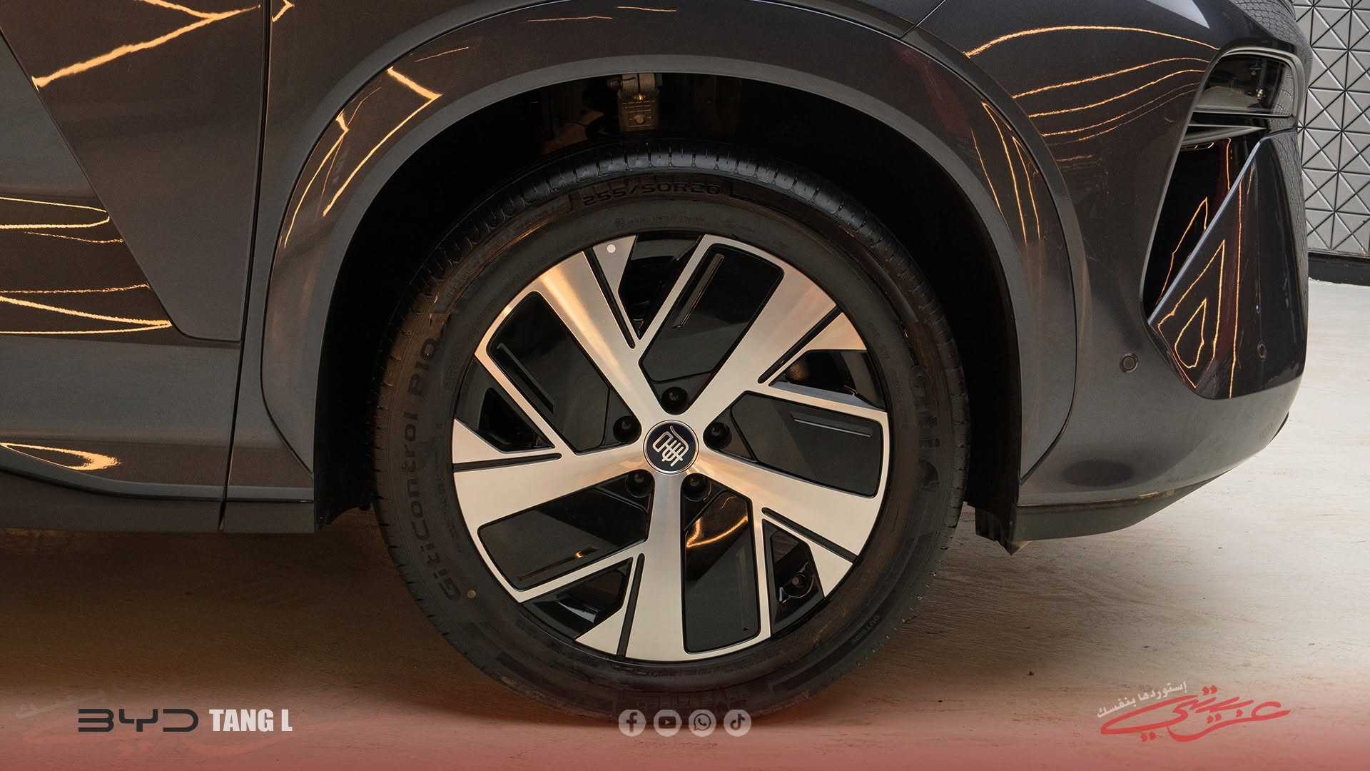 بي واي دي تانج 2025