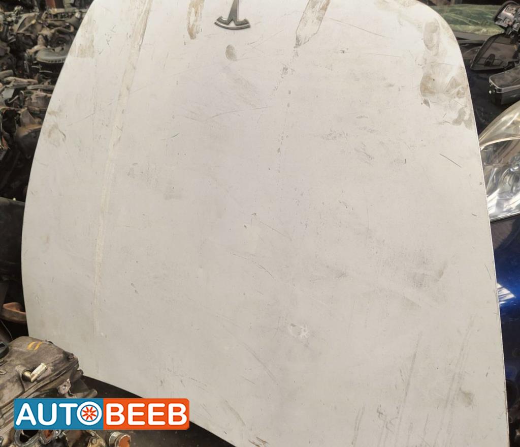 Body  Hood Tesla 3