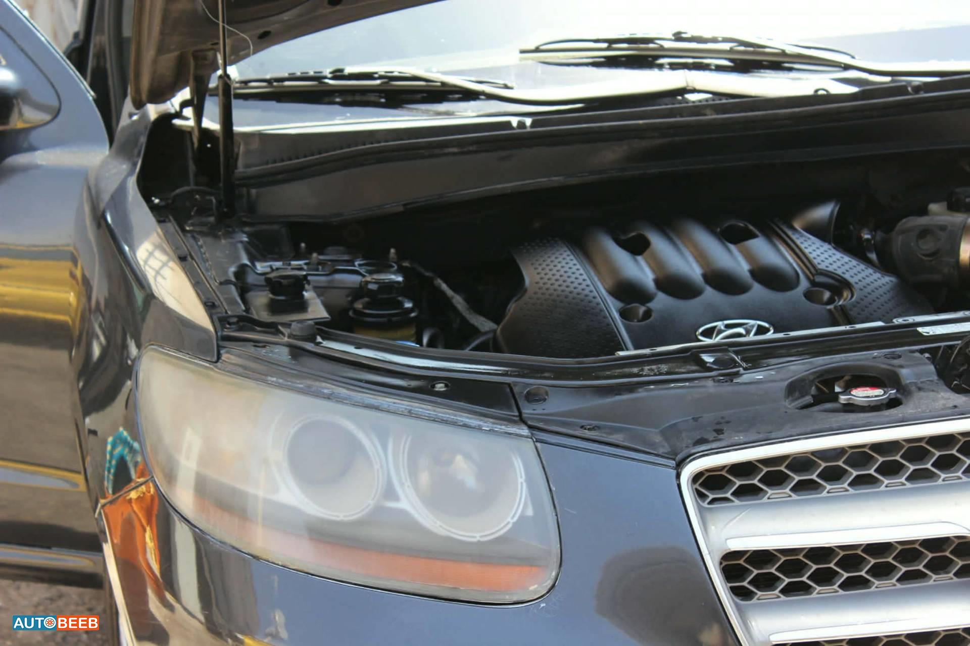 Hyundai Santa Fe 2009