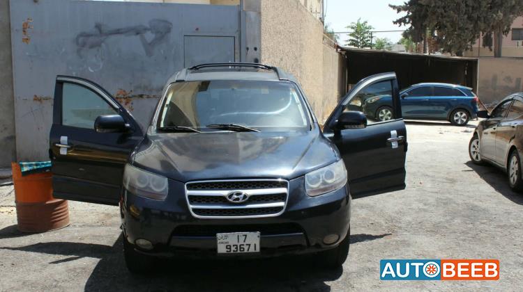 Hyundai Santa Fe 2009