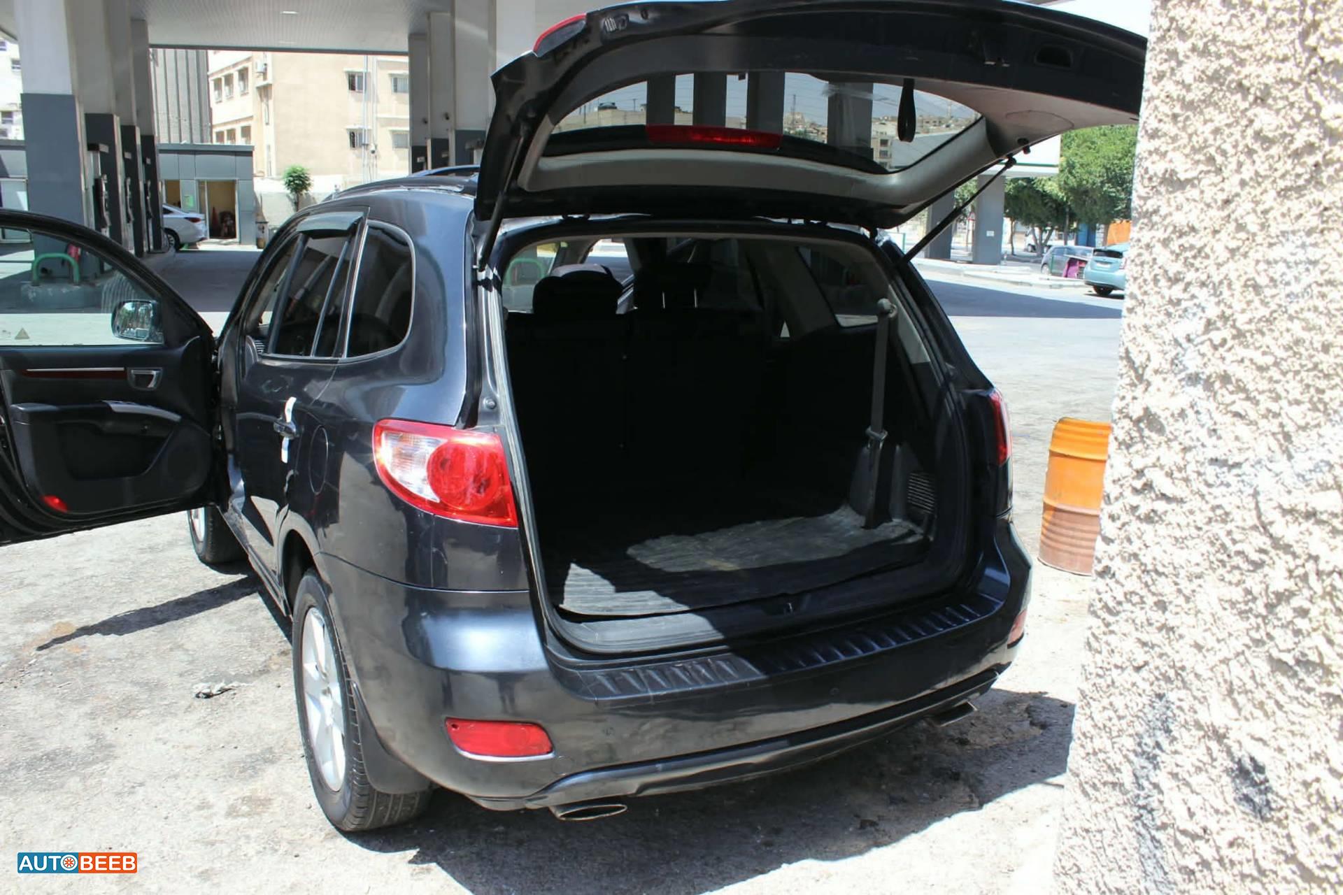 Hyundai Santa Fe 2009