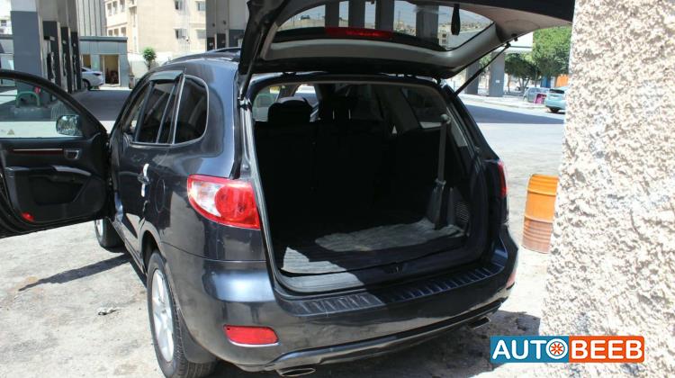 Hyundai Santa Fe 2009