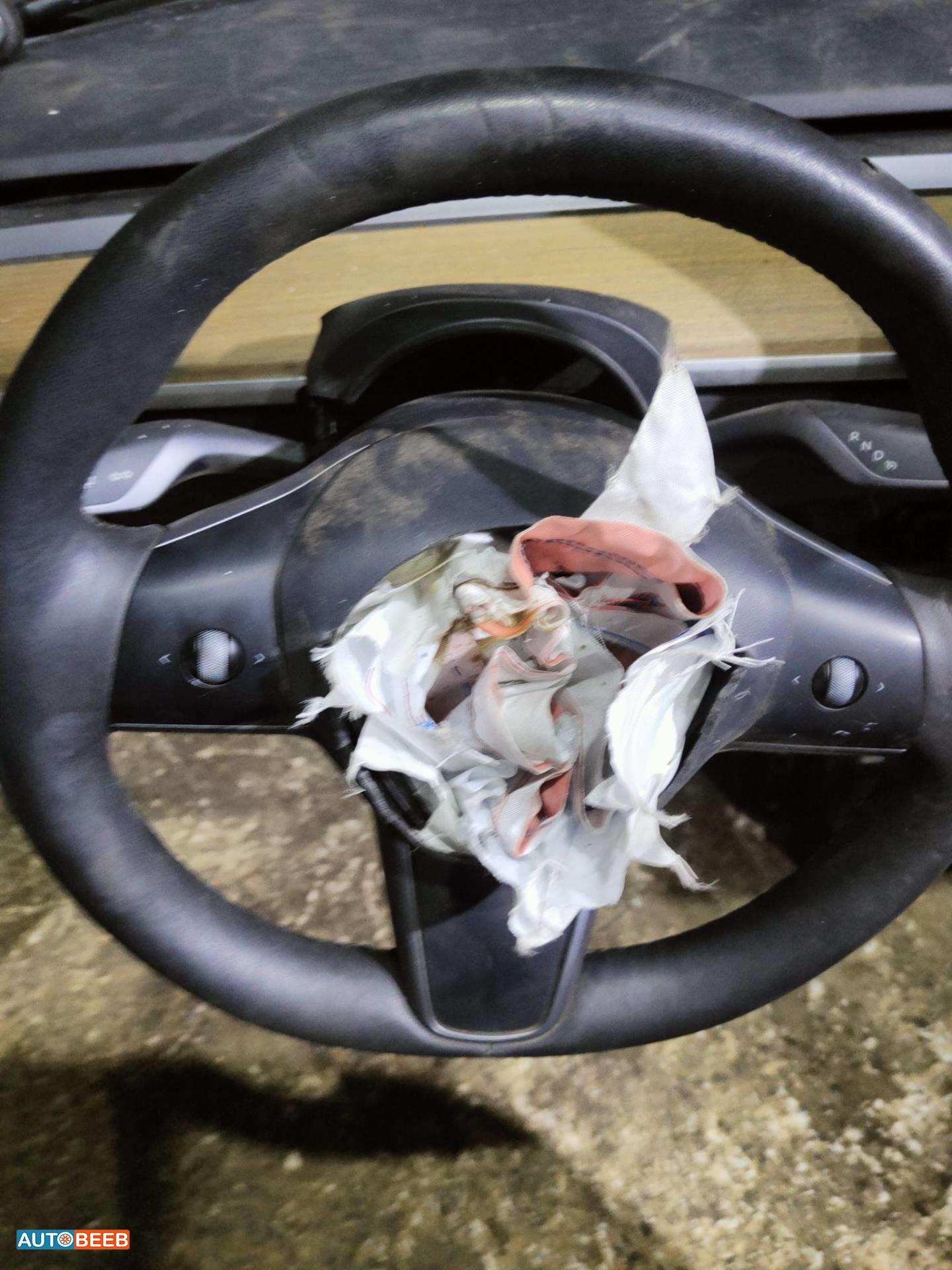 Cabin  Steering Wheel Tesla 3