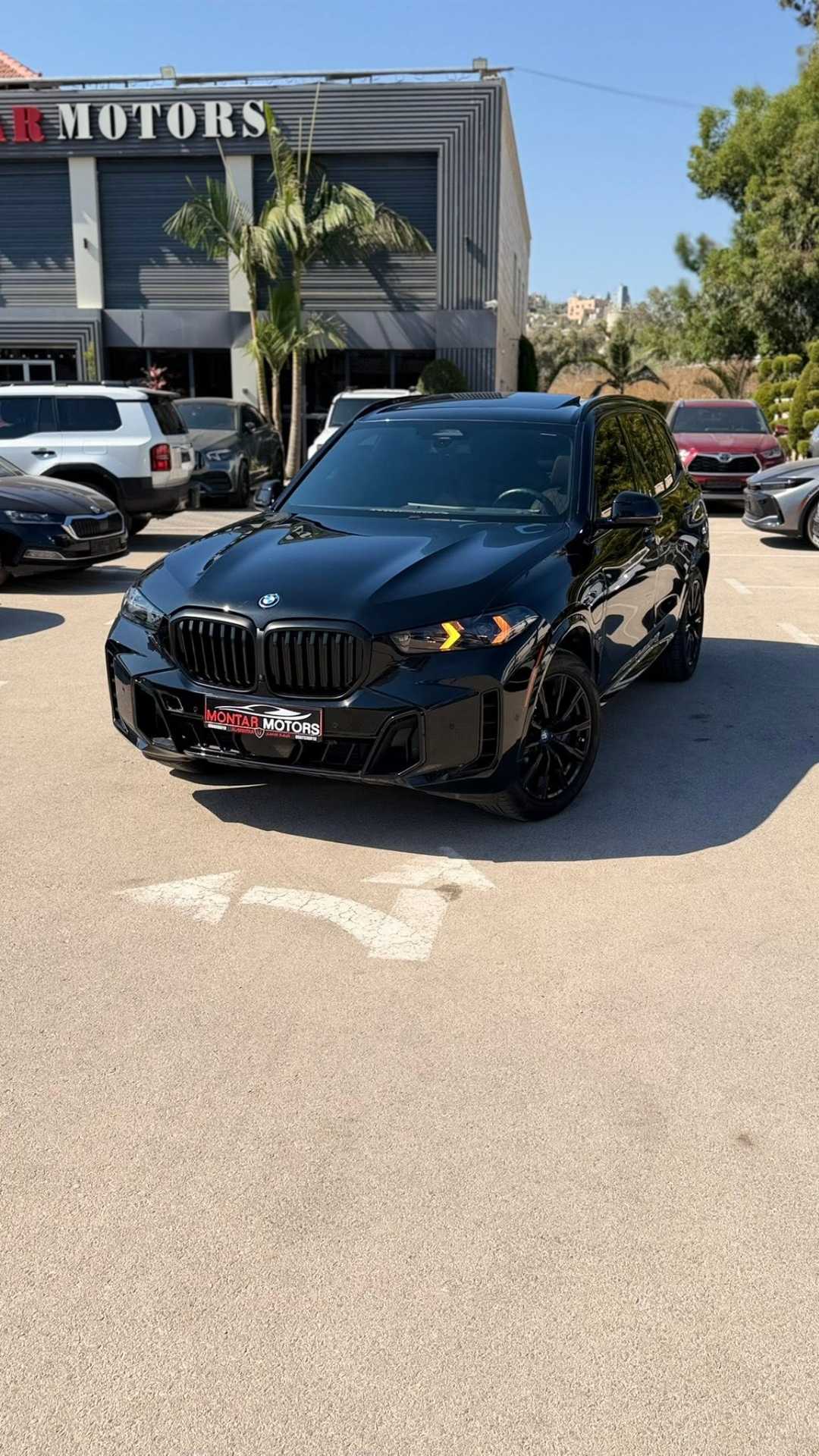BMW X5 2024