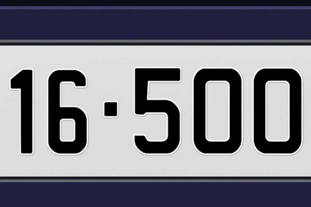 16-50011