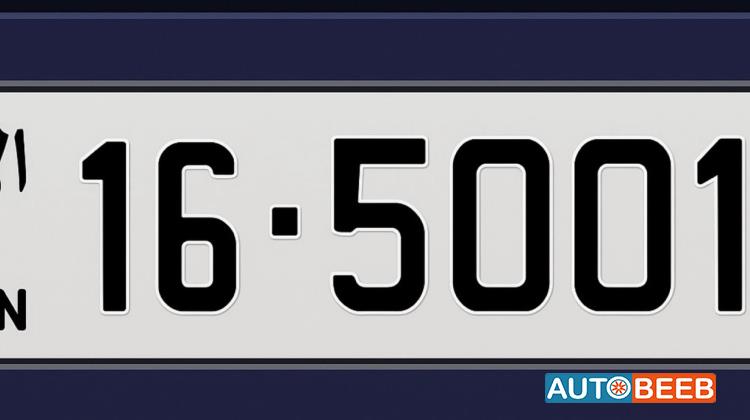 16-50011