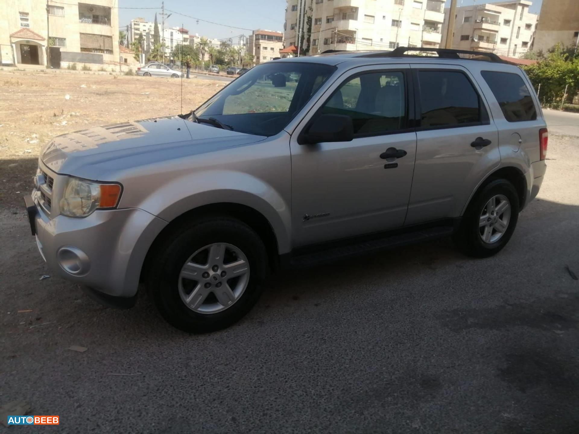 فورد اسكايب 2010