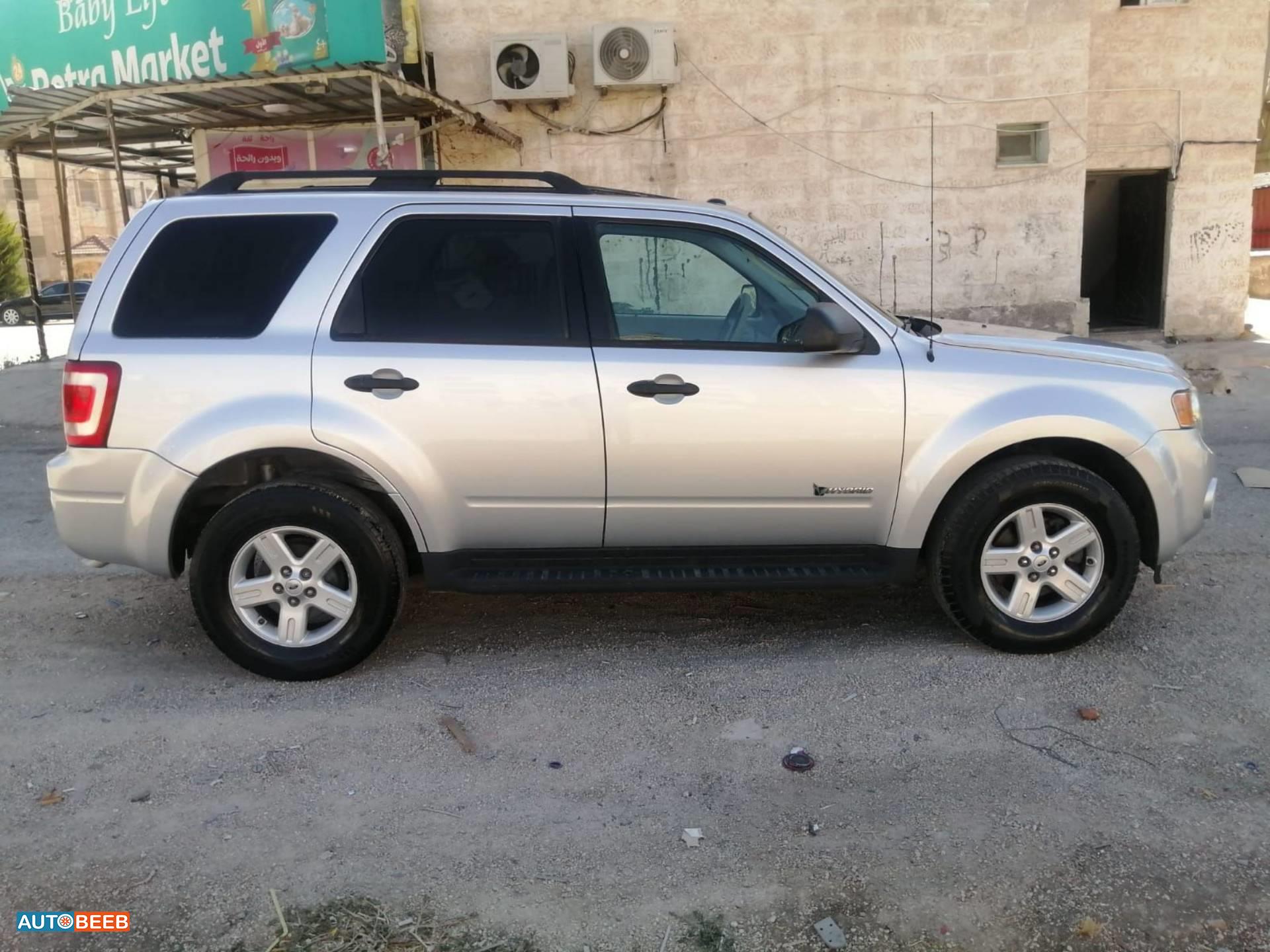 فورد اسكايب 2010