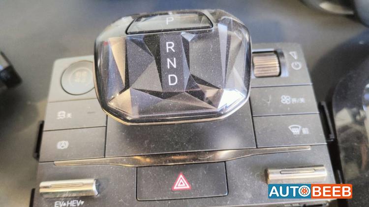 Cabin  Control buttons BYD Qin