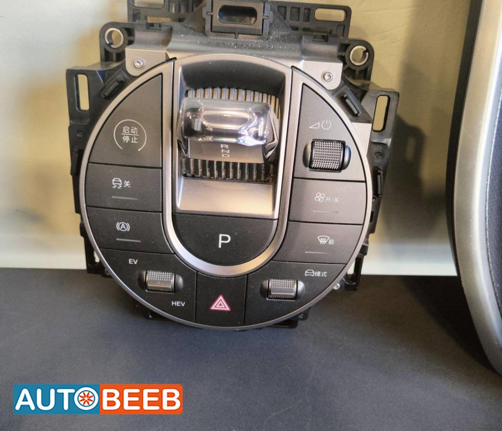 Cabin  Control buttons BYD Seal