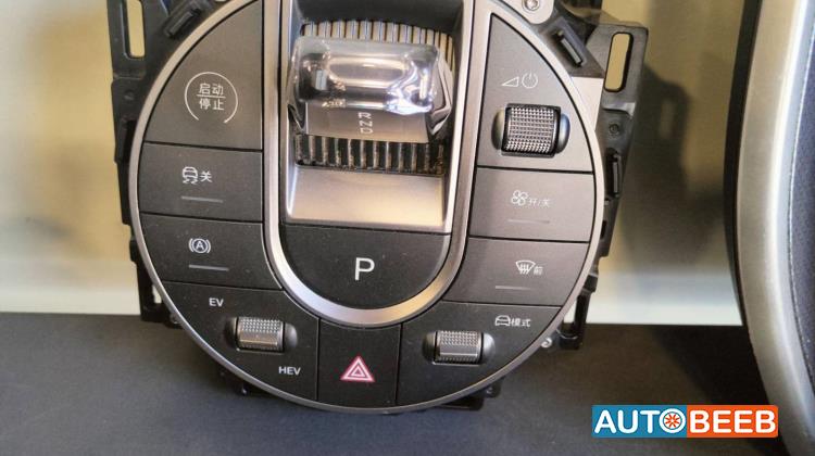 Cabin  Control buttons BYD Seal