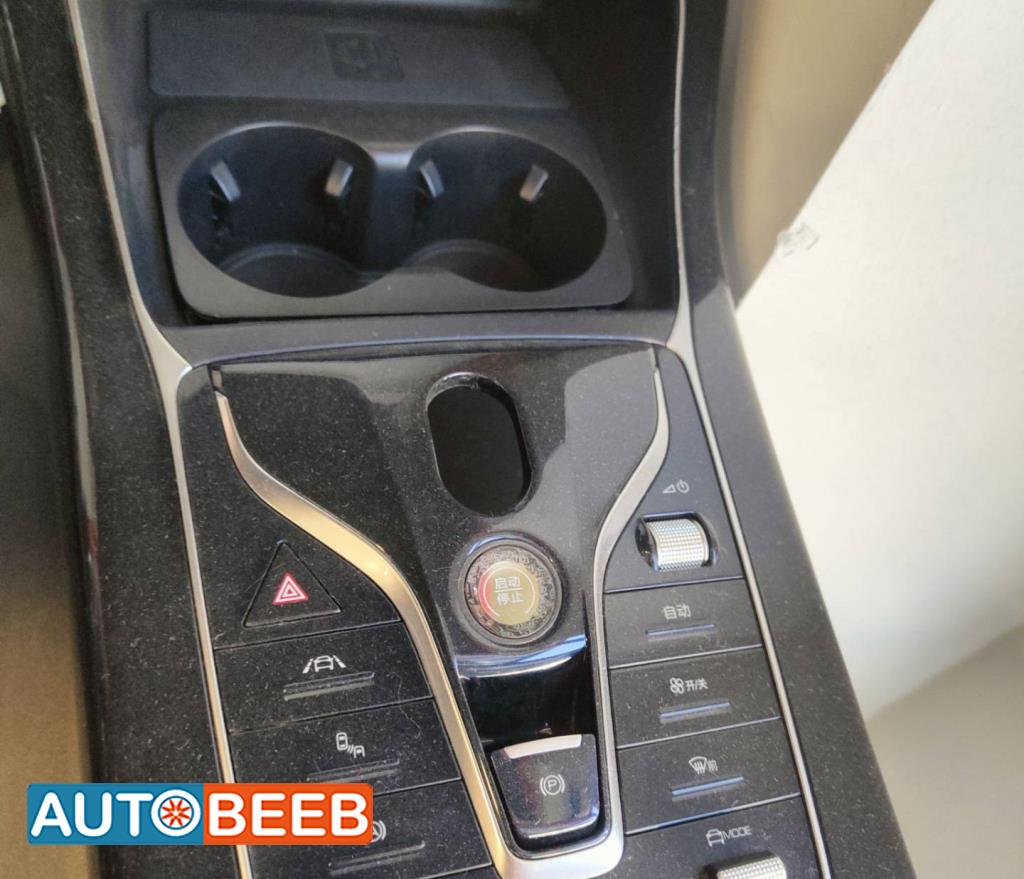 Cabin  Control buttons BYD Qin Plus