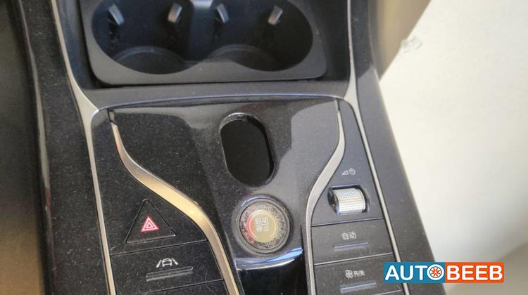 Cabin  Control buttons BYD Qin Plus