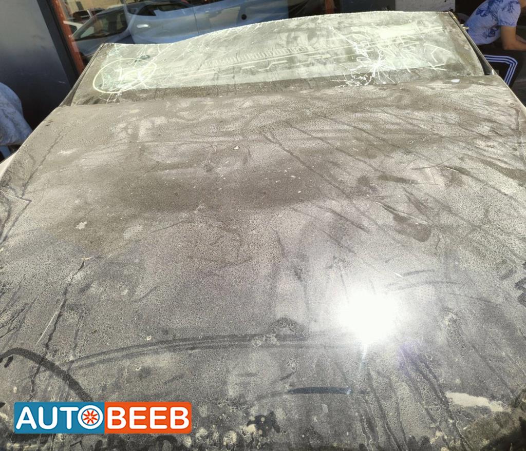 Body  Hood Tesla X