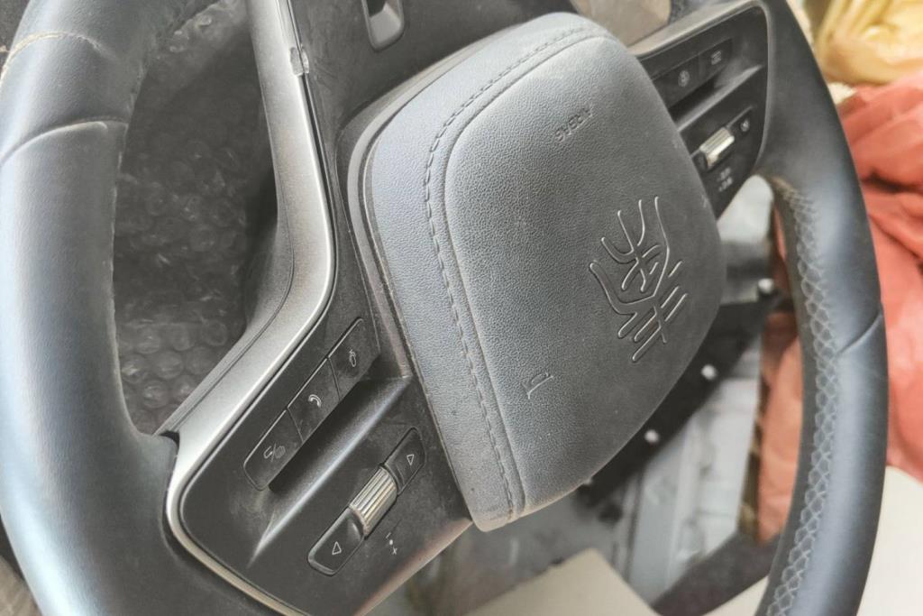 Cabin  Steering Wheel BYD Qin