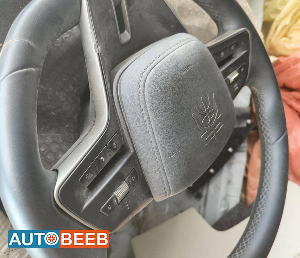 Cabin  Steering Wheel BYD Qin