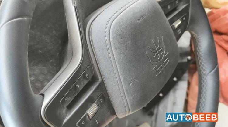 Cabin  Steering Wheel BYD Qin