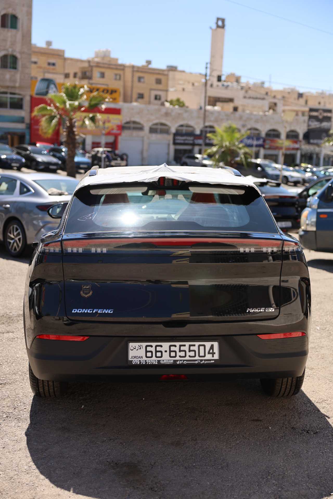 دونج فينج مايج 2026