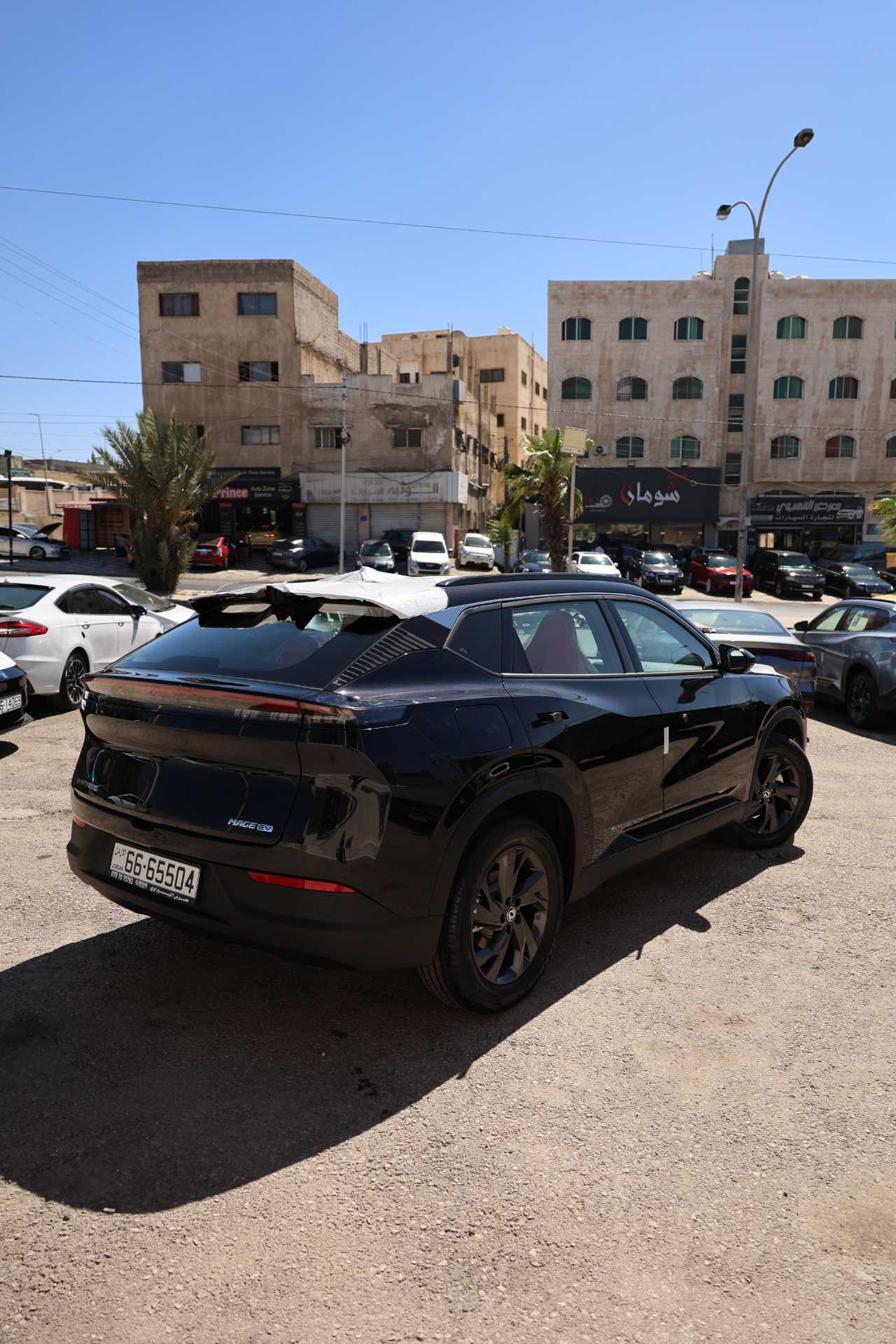 دونج فينج مايج 2026