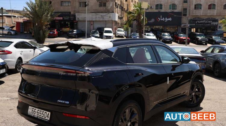 دونج فينج مايج 2026