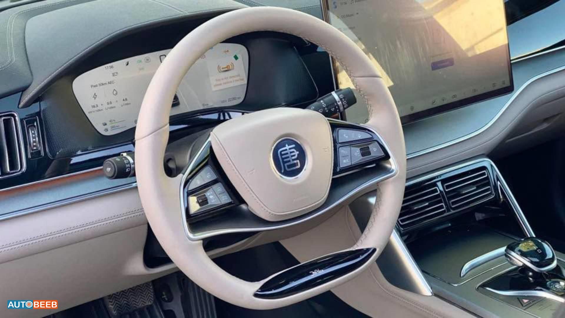 بي واي دي تانج 2025