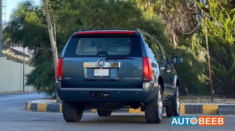 Cadillac Escalade 2009