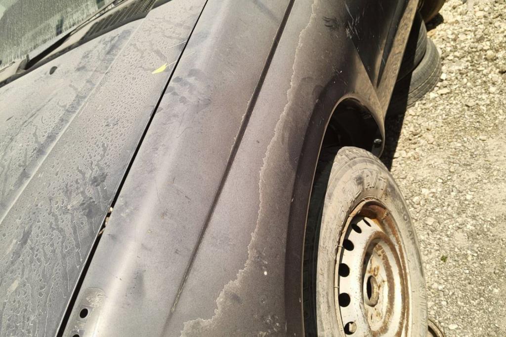 Body  Fenders  Nissan 