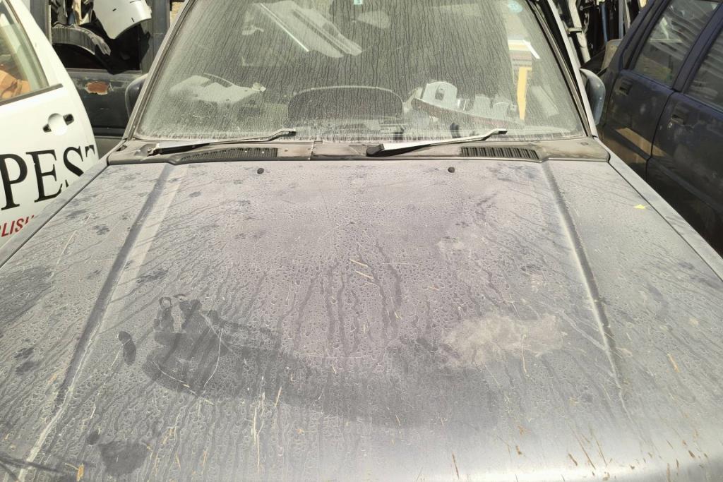 Body  Hood Nissan 