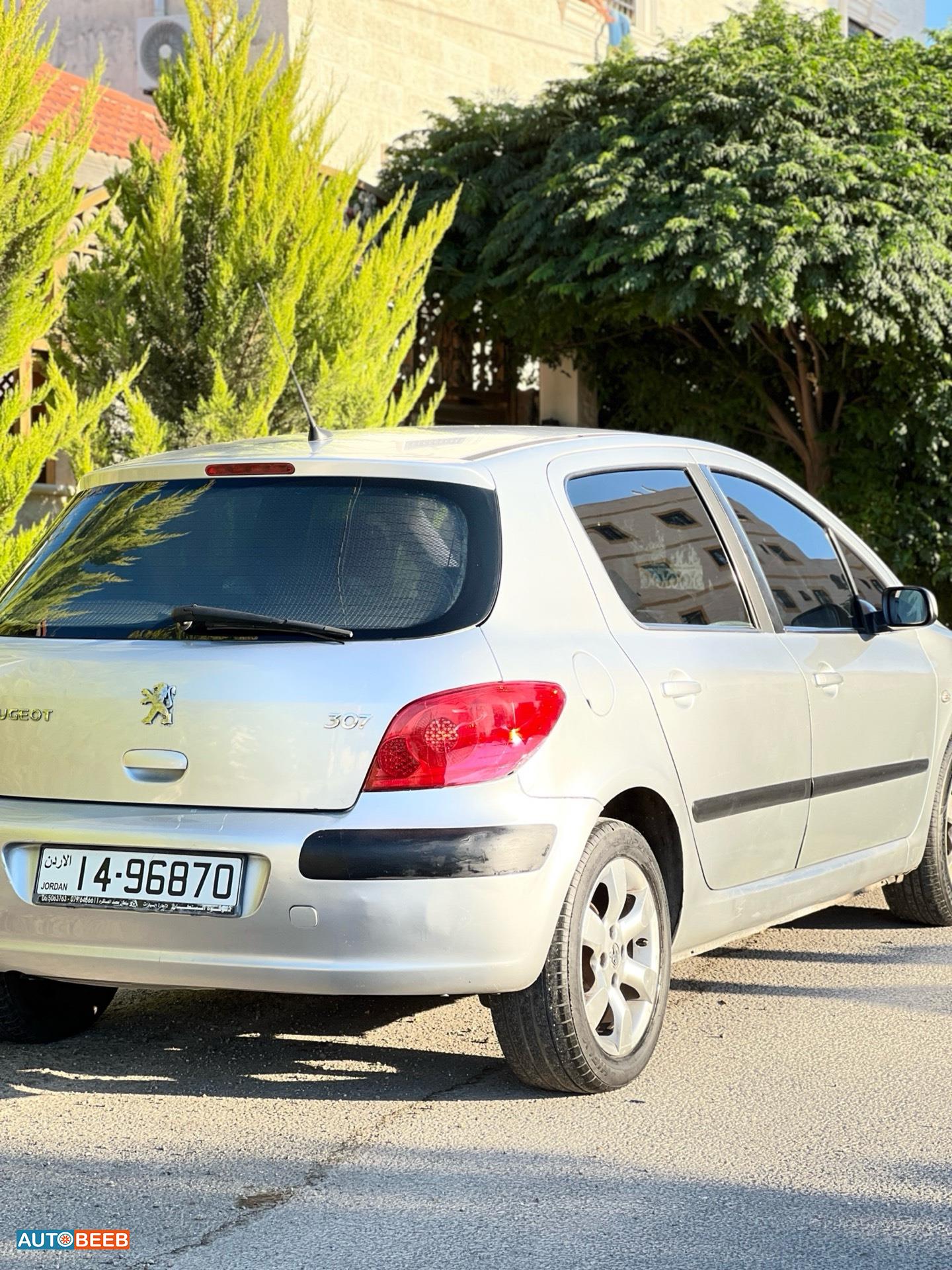 Peugeot 307 2007