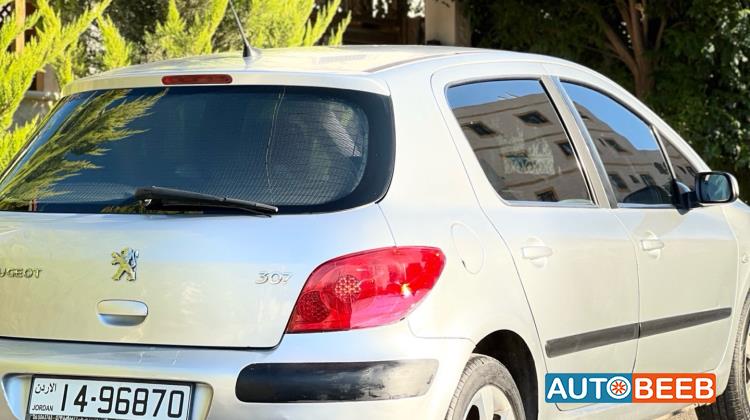 Peugeot 307 2007