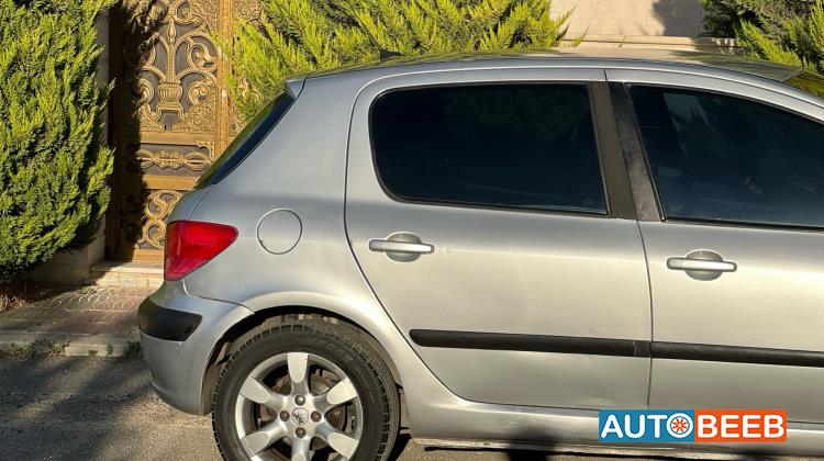Peugeot 307 2007