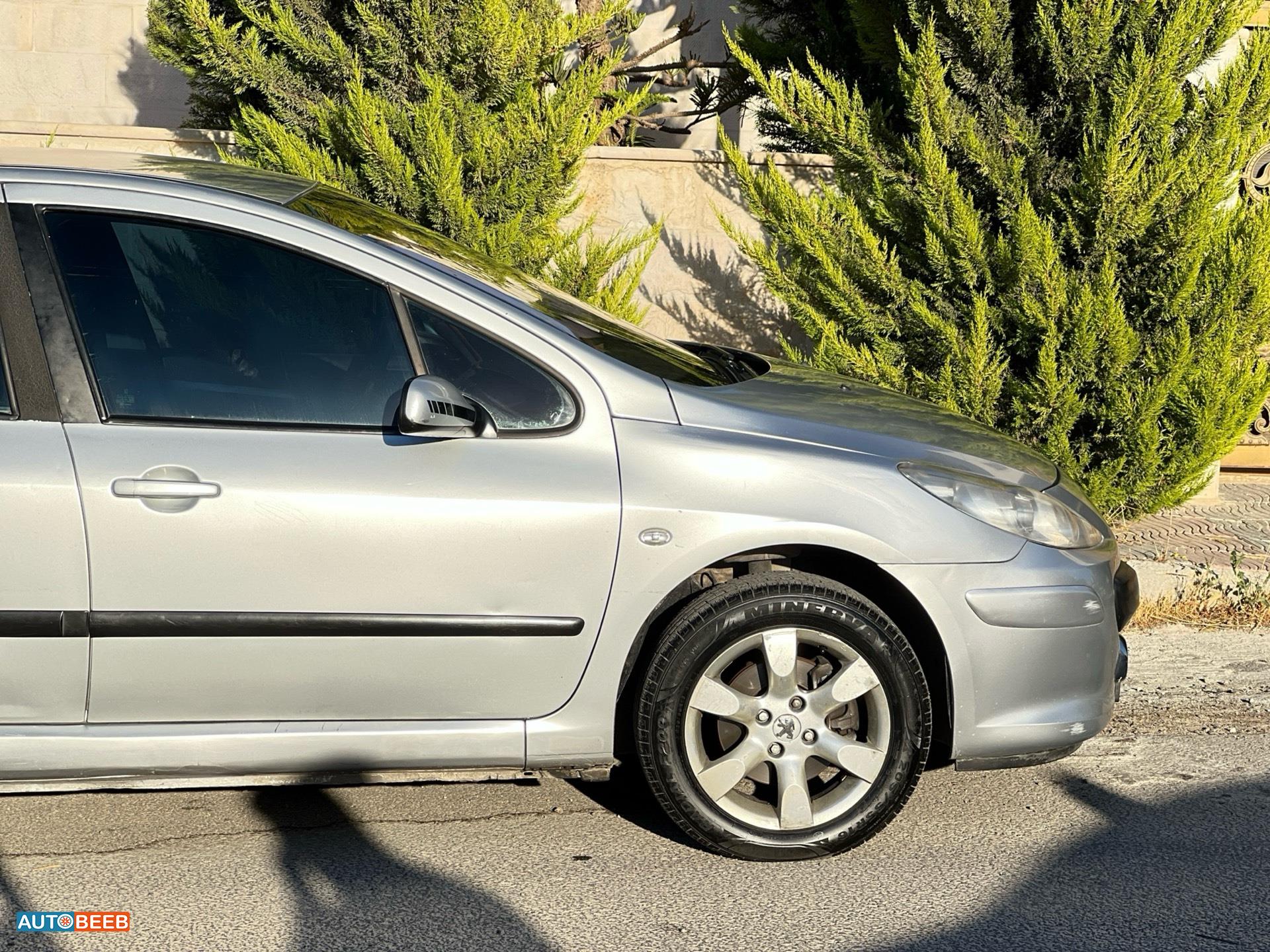 Peugeot 307 2007