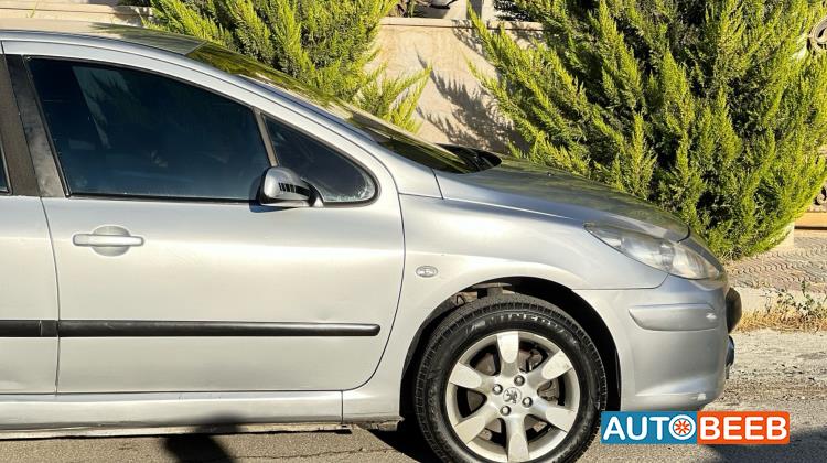 Peugeot 307 2007