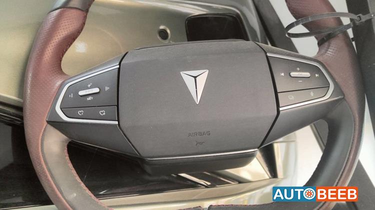 Cabin  Steering Wheel CHANGAN SL03