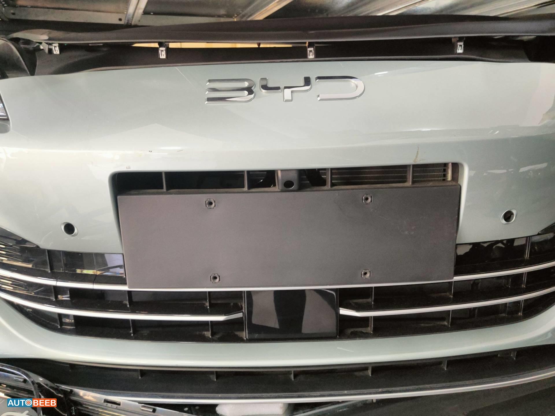 Body  Grilles BYD Seal
