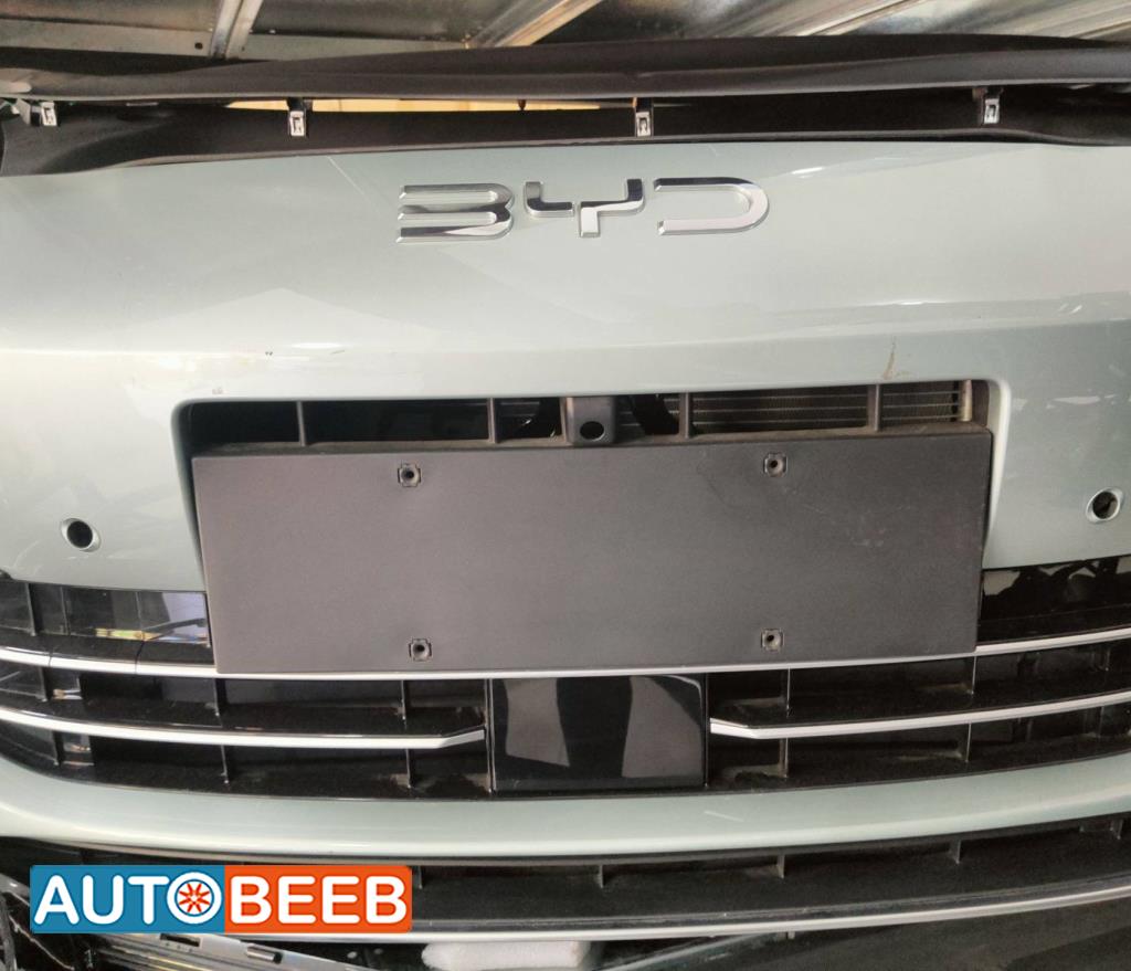 Body  Grilles BYD Seal