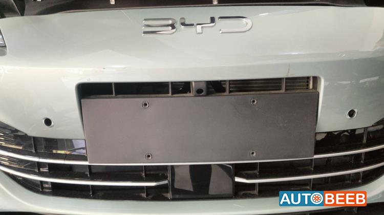 Body  Grilles BYD Seal