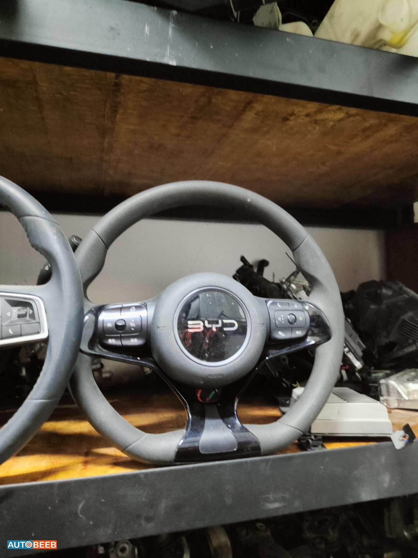Cabin  Steering Wheel BYD Seagull