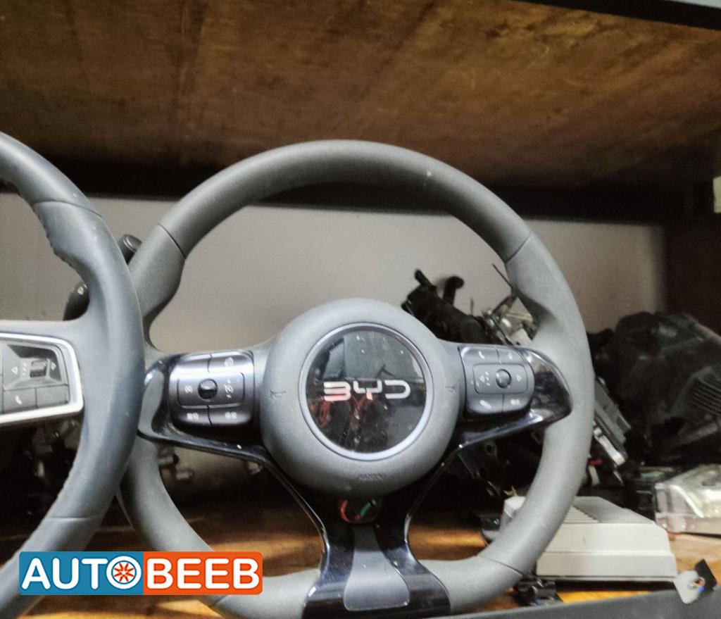 Cabin  Steering Wheel BYD Seagull
