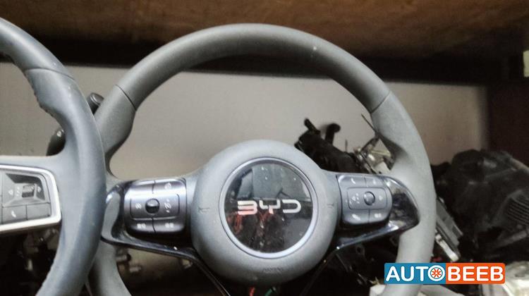 Cabin  Steering Wheel BYD Seagull