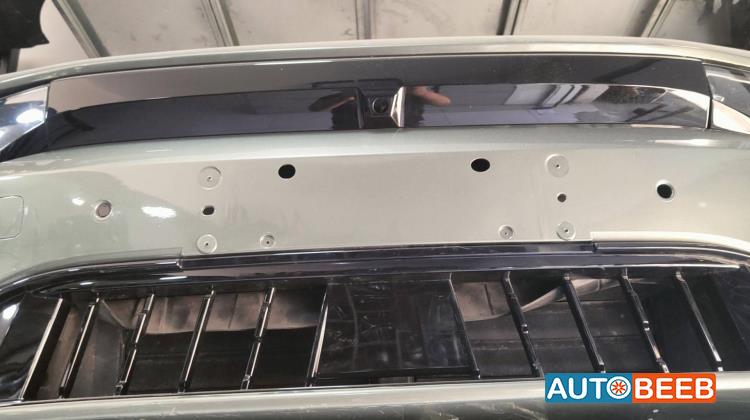 Body  Grilles Zeekr X