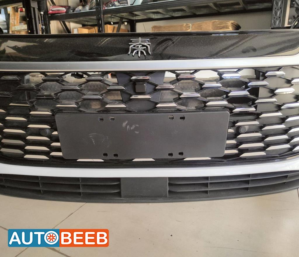 Body  Grilles BYD Qin
